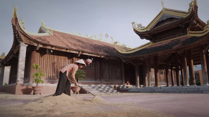 Drying rice