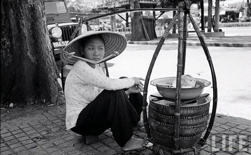 bông cỏ seller