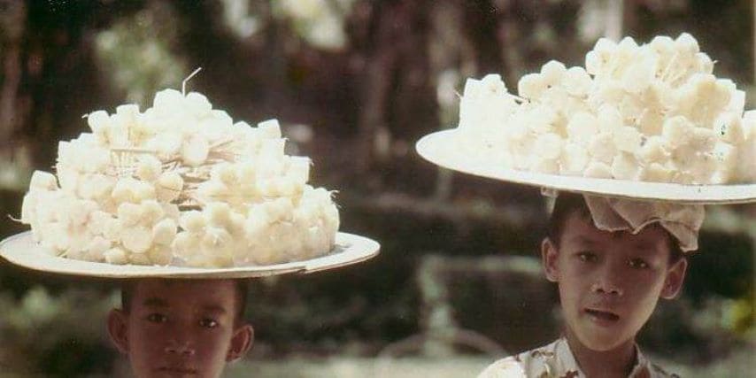 Boys selling split sugarcane