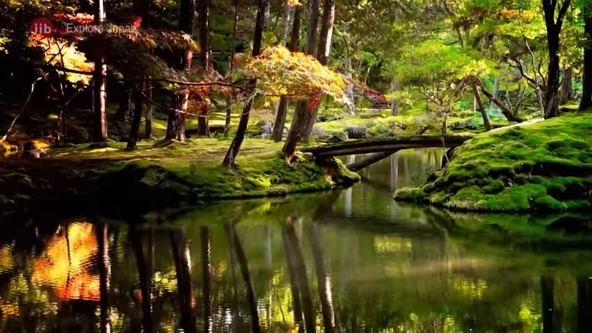 Chùa Rêu - moss garden at Saiho-ji