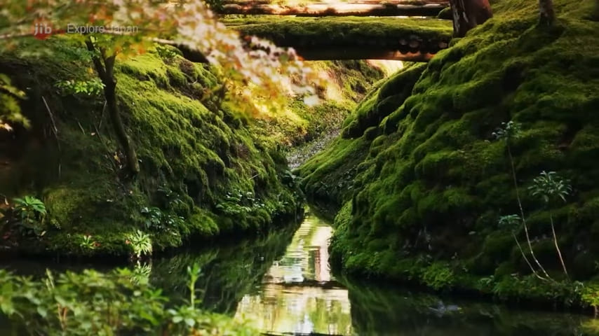 Saiho-ji: moss and water