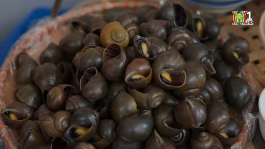 Boiled snails prepared for chilled snail dip