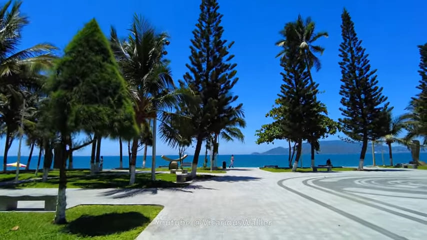 Nha Trang, Horsetail she-oaks